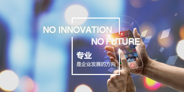 專(zhuān)業(yè),是企業(yè)發(fā)展的方向
